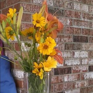 Meet your Posher, Jane